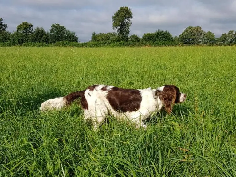 Photo de l'élevage Des Terres du Doux Lieu