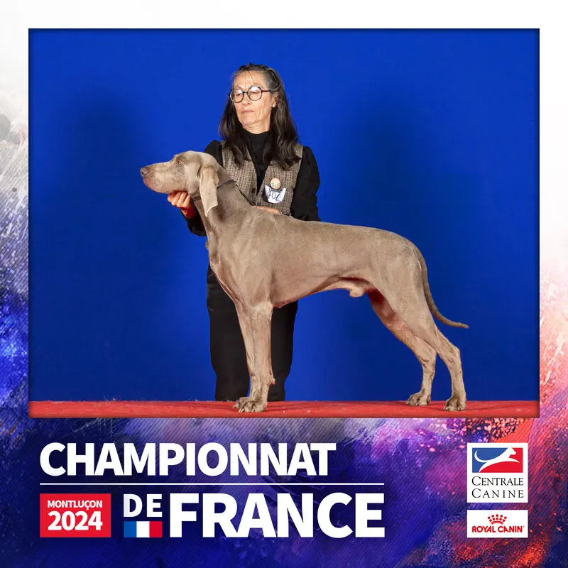 Photo de l'élevage De la Prare