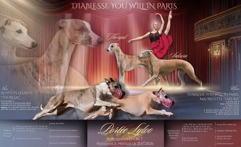 Photo de l'élevage Diablesse You Will in Paris