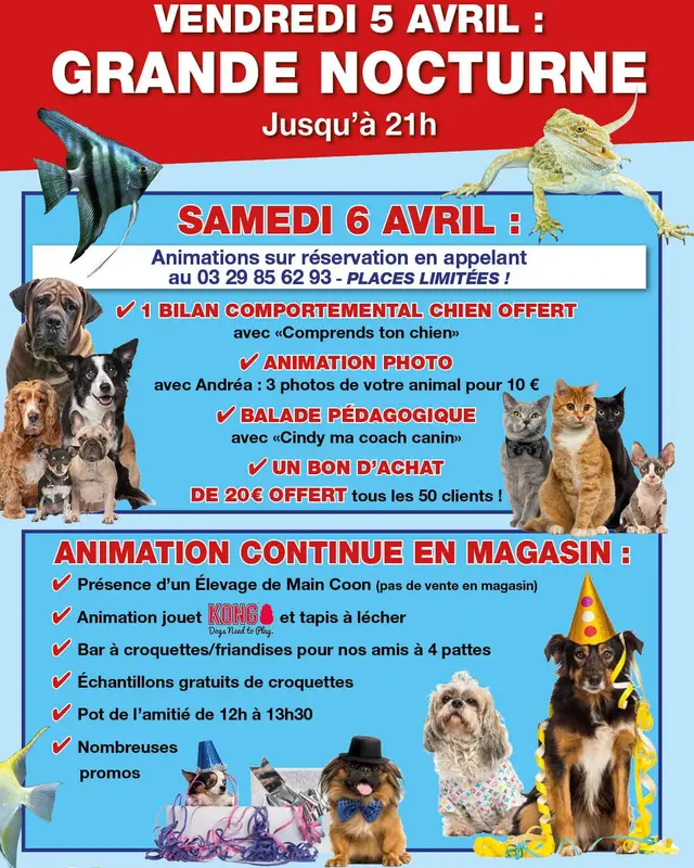 Photo de l'élevage Du Domaine de Lookan