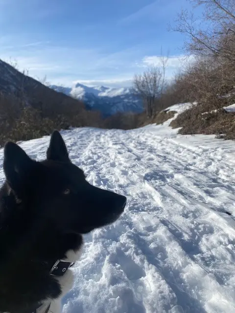 Photo de l'élevage Des Hautes Terres d'Aquitaine