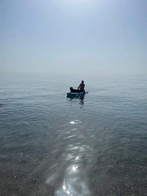 Photo de l'élevage Des Hautes Terres d'Aquitaine
