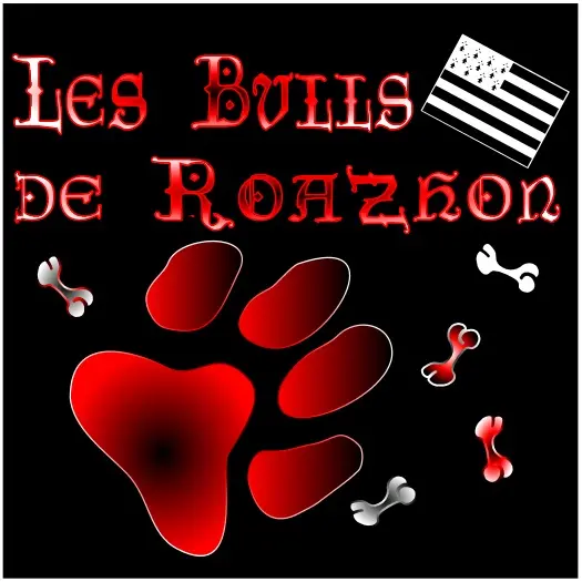 Photo de l'élevage Des Bull's de Roazhon