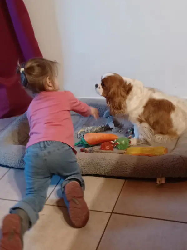 Photo de l'élevage Of Nice Animals