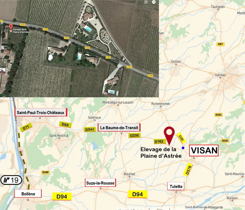 Photo de l'élevage De la Plaine d'Astree