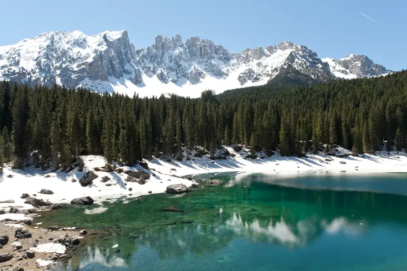 Portée de Chien de montagne des Pyrénées, élevage De la Plaine d'Astree