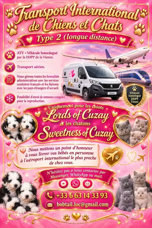 Photo de l'élevage Lords of Cuzay