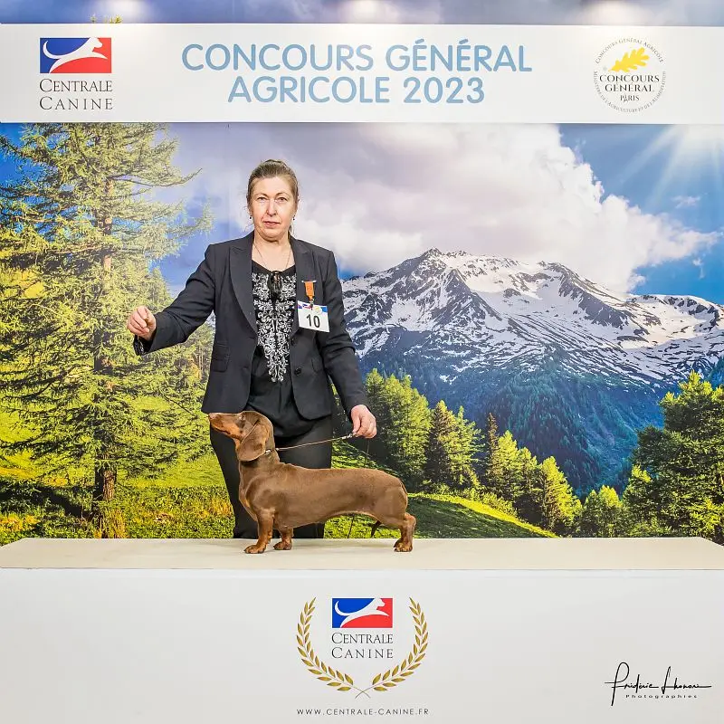 Photo de l'élevage De Teremok de Anastasia