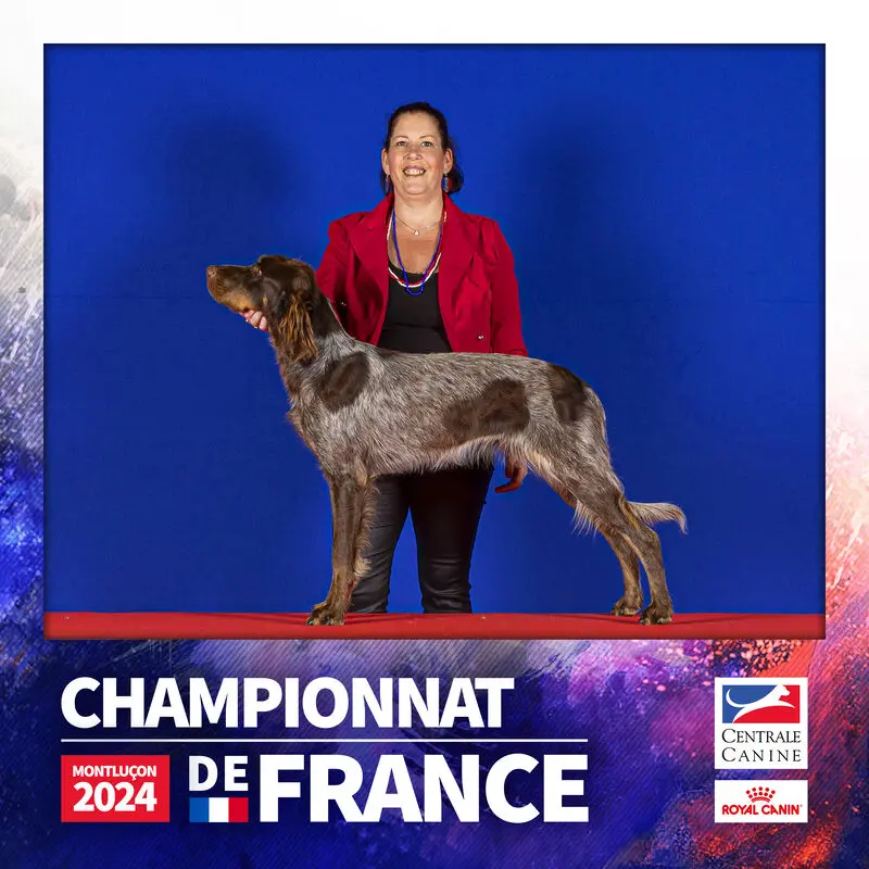 Photo de l'élevage Du Domaine d'Iron