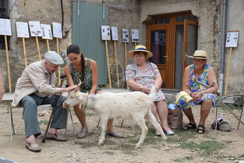 Photo de l'élevage Domaine de Blacher